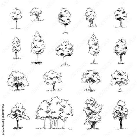 Set Of Hand Drawn Architect Trees Vector Sketch Architectural