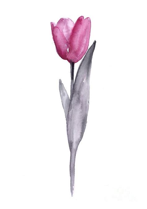 Purple Tulip Watercolor Art Print Painting By Joanna Szmerdt In 2020