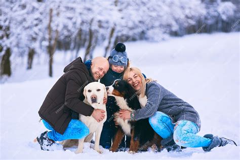 Free Photo The Mother Father Son And Dogs Sitting On The Snow