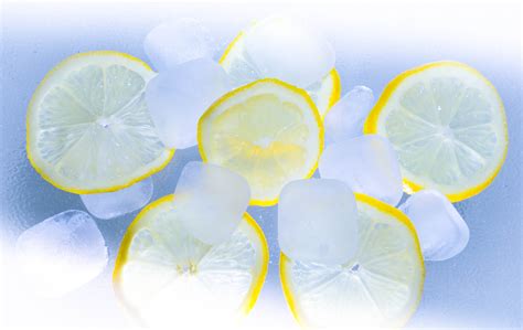 무료 이미지 과일 꽃잎 여름 식품 생기게 하다 레몬 에이드 노랑 칵테일 라임 감귤류 꽃 피는 식물 얼음