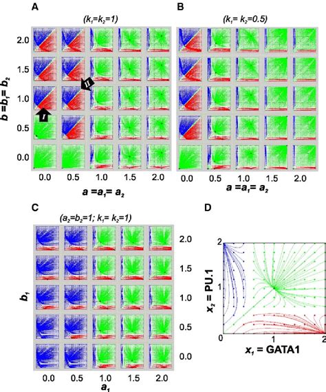 Figure From Bifurcation Dynamics In Lineage Commitment In Bipotent