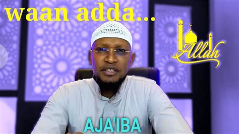 Wan Addatii Yaa Jaraanaa Sheikh Anwar Yusuf Youtube