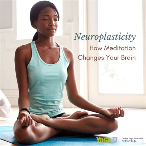 Neuroplasticity How Meditation Changes Your Brain In Yoga Articles Neuroplasticity