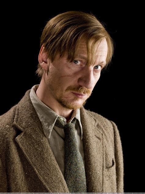 Remus Lupin Harry Potter Wiki