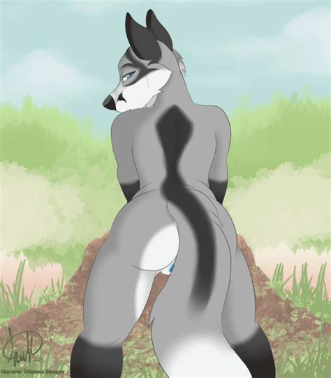 Rule 34 Animated Anthro Anus Ass Canid Canine Female Fox Frame By