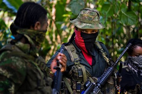 National liberation army (colombia) (spanish: Colombia rebels free kidnapped Dutch journalists: ELN ...