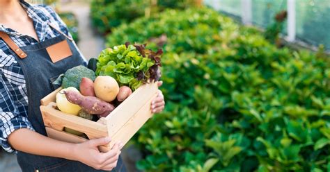 Why Is Locally Grown Food Better For The Environment