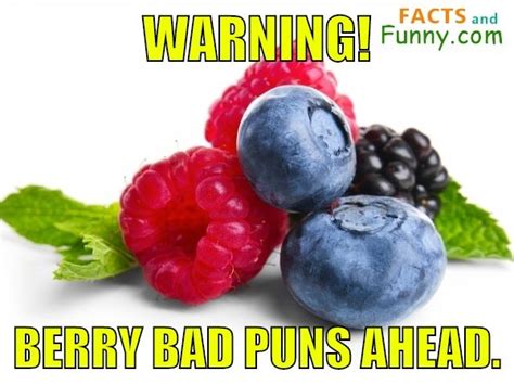 Warning Berry Bad Puns Ahead Berry Puns Funny Photos Bad Puns