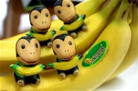 Atau akan ada juga orang yang berpikir bahwa cavendish merupakan. Jangan Lagi Picingkan Mata Liat Buah Lokal | SUNPRIDE ...