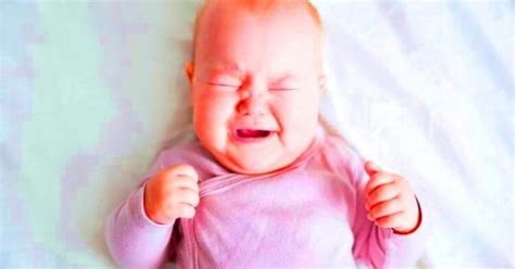 Tabel perbandingan susu formula untuk bayi. 5 Susu formula untuk bayi sembelit 2019! Mak ayah wajib ...