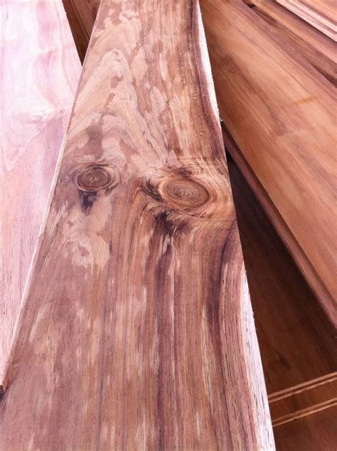 Nz Blackwood Feature Grade Hardwood Flooring Sawmill Direct