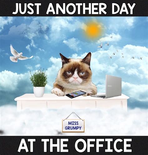Just Another Day At The Office 🌤😸 Funny Grumpy Cat Memes
