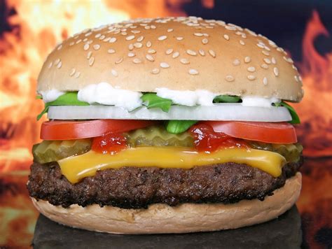 Check spelling or type a new query. Gli hamburger si possono congelare? Attenzione, ecco come ...