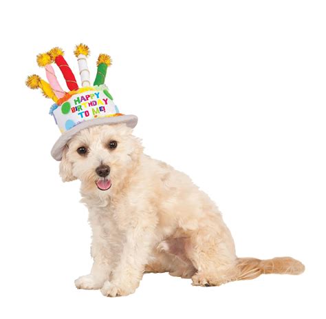 Birthday Cake Dog And Cat Hat Pet Costume Center