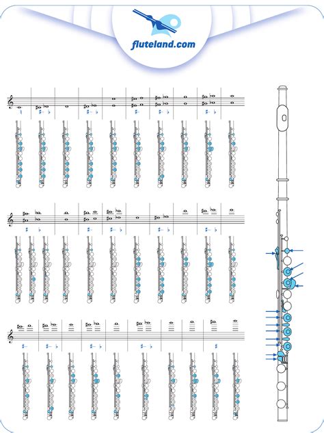 Sample Flute Fingering Chart Free Download