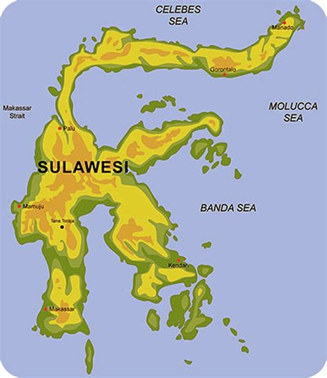 Kondisi Geografis Pulau Sulawesi Berdasarkan Peta Terlengkap My Xxx
