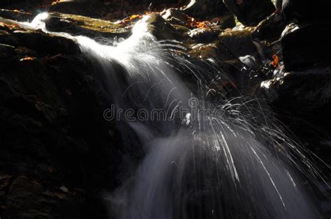 Source Vistula Crystalline Stream Clean Water And Waterfall Stock