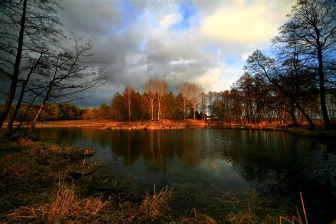 壁纸 阳光 树木 景观 森林 日落 湖 性质 反射 草 天空 冬季 科 日出 晚间 早上 镜子 佳能