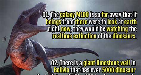 40 Dino Facts Everything You Need To Know About Dinosaurs Fact Republic