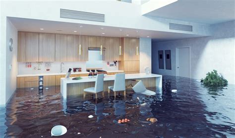 7 Things You Should Know About Water Leaks In Your Home