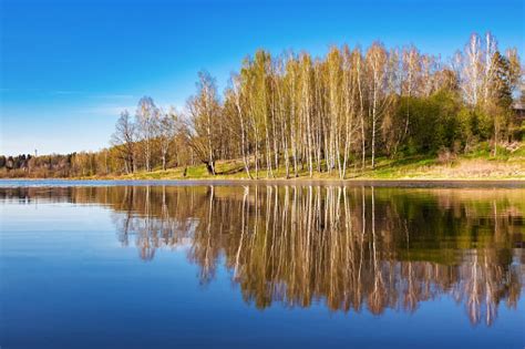 Beautiful Spring Landscape Reflection Of The Blue Cloudless Sky And