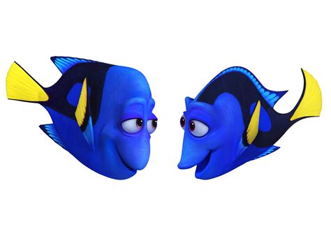 15 Unique Facts About Finding Nemo And Finding Dory Womantalk