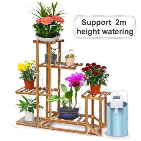 Indoor Potted Plants Vacation Plant Watering