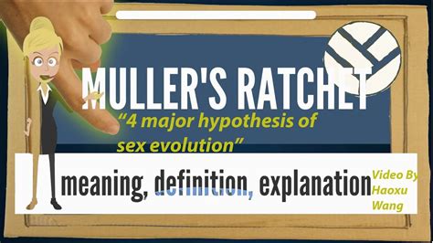 4 Major Hypothesis Of Sex Evolution Youtube
