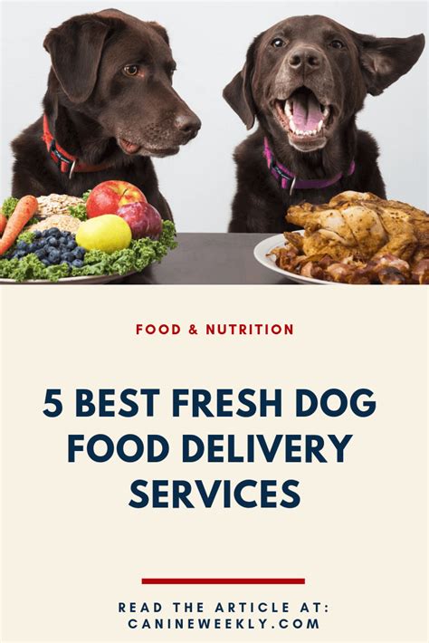 Best dog food for puppies. 7 Best Fresh Dog Food Delivery Services for 2020 | Dog ...