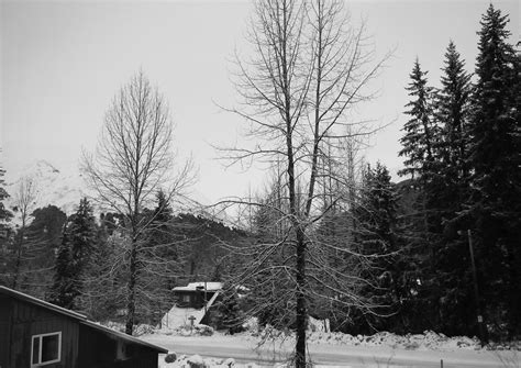 Observations Of Girdwood Climactic And Natural Nice Powder Snow In