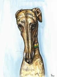 greyhound artwork google search