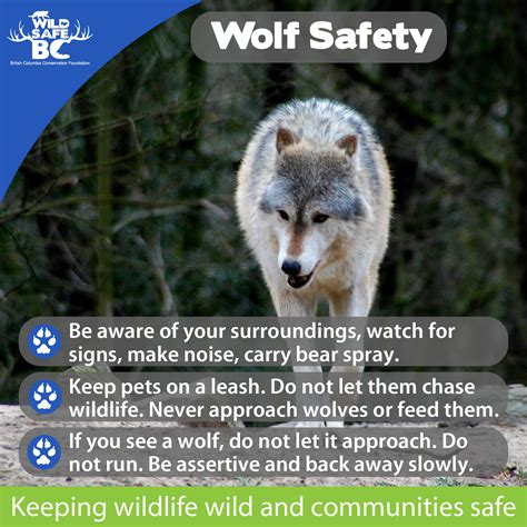 Wolf Wildsafebc