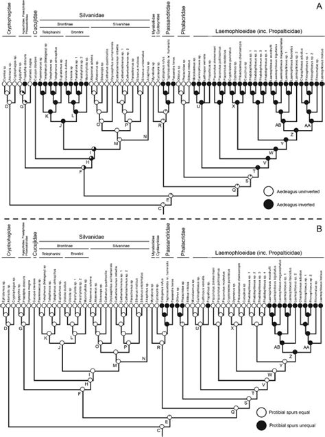 Ancestral Maximum Likelihood Character State Reconstruction And