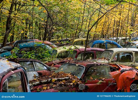 Vintage VW Beetle - Volkswagen Type I - Pennsylvania Junkyard Stock
