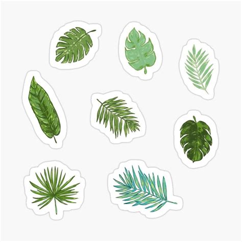 Tropical Monstera Leaf Sticker Set Sticker For Sale By Geolescent