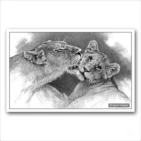 Pride And Joy Lioness And Cub Pencil Drawing Fine Art Print