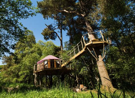 Where Can I Stay In A Treehouse In North East England North East