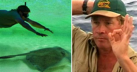Marca Lifestyle Steve Irwin Known As The Crocodile Hunter The