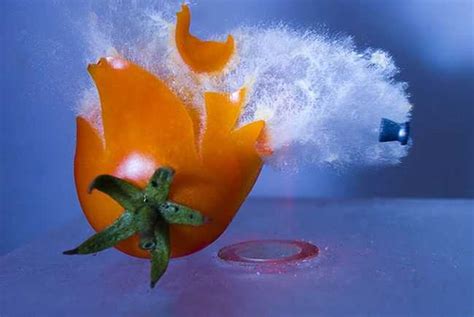 High Speed Photography By Alan Sailer Freeyork