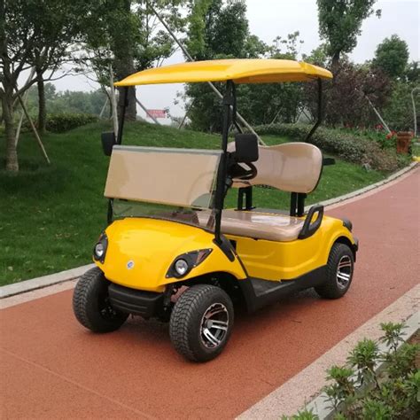 2018 Hot Sale 2 Seater Mini Electric Or Gas Powered Golf Cart With