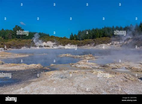 Hell S Gate Geothermal Reserve In New Zealand Stock Photo Alamy