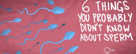 Things You Probably Didnt Know About Sperm