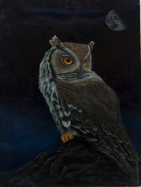 Night Owl 16 X 20 800 Hrs Art Antonio Davis Imagine The