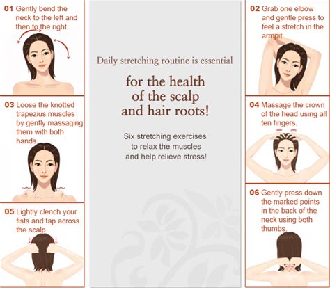 Stretching Exercise To Help Prevent Hair Loss Premium Herbal