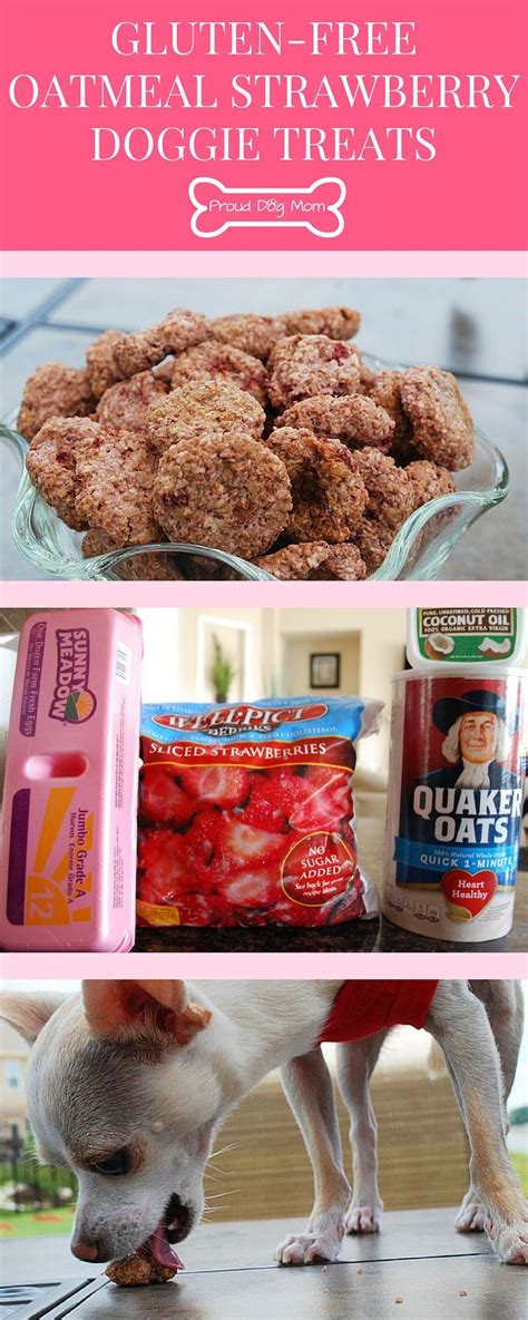 Check spelling or type a new query. Gluten-Free Oatmeal Strawberry Doggie Treats | Recipe ...