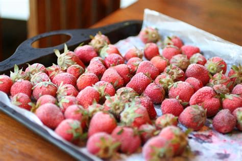 How To Freeze Fresh Strawberries At Home Find Out The
