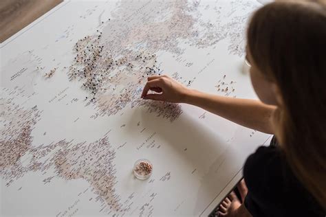 Which Push Pin World Map To Choose Detailed Or Regular Tripmapworld