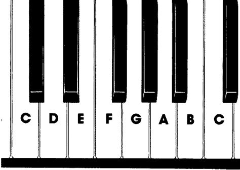 Piano Fingering Which Finger Goes Where And Why