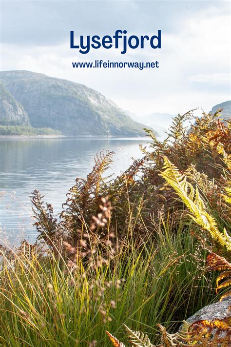 Facts About The Norwegian Fjords Life In Norway World Heritage