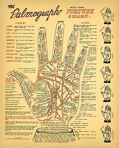 Vintage Palmistry Chart 5 Sizes Fortune Telling Etsy Palmistry